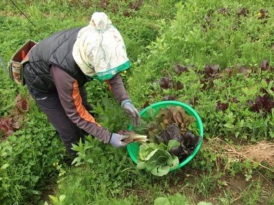 100세 시대의 생활건강 정보