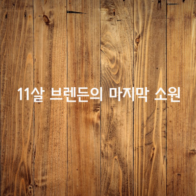 11살 브렌든의 마지막 소원