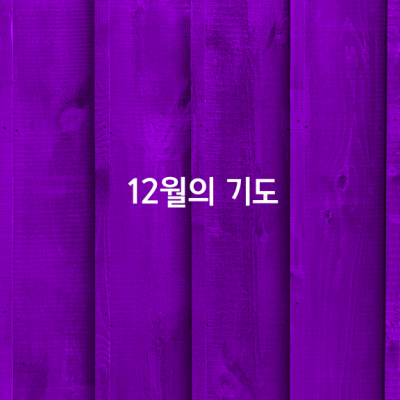 12월의 기도