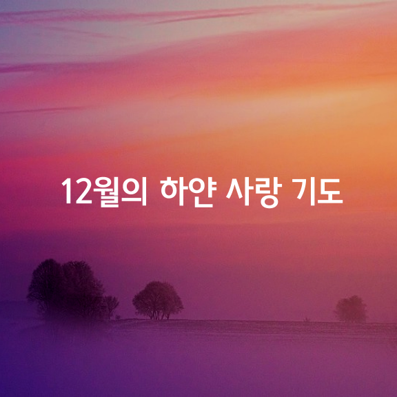 12월의 하얀 사랑 기도