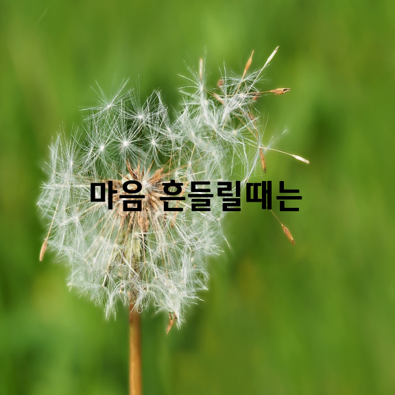 가끔씩 그대 마음 흔들릴때는