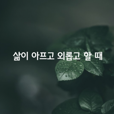 가끔은 삶이 아프고 외롭고 할 때