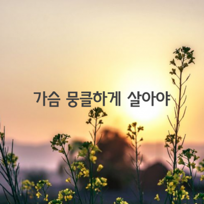 가슴 뭉클하게 살아야 한다