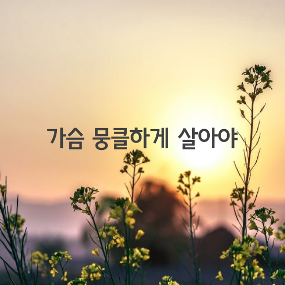 가슴 뭉클하게 살아야 한다