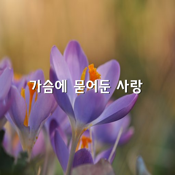 가슴에 묻어둔 사랑