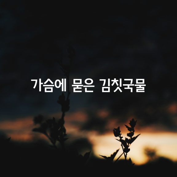 가슴에 묻은 김칫국물