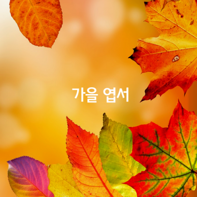 가을 엽서