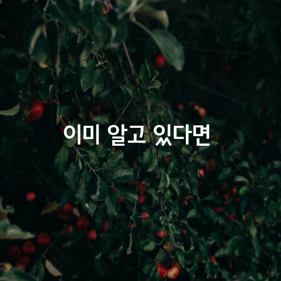 가장 머리가 둔한 사람에게도