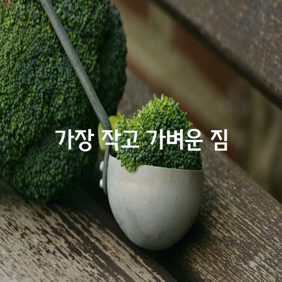 가장 작고 가벼운 짐