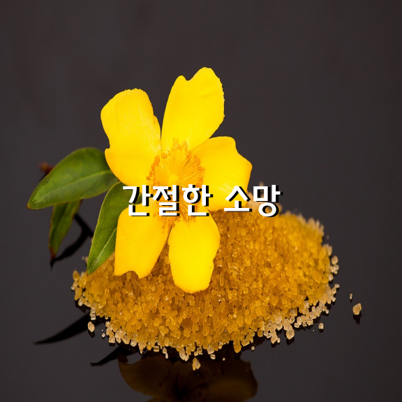 간절한 소망