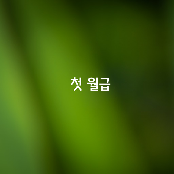 감동이 있는 글 – 첫 월급