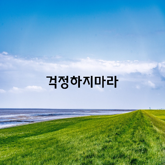 걱정하지마라 / 김동혁