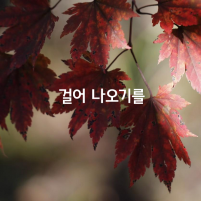 걸어 나오기를