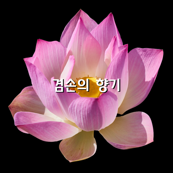 겸손의 향기 / 이해인