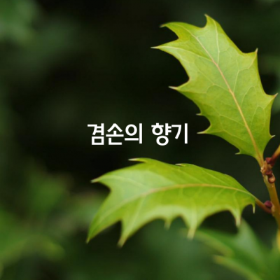 겸손의 향기