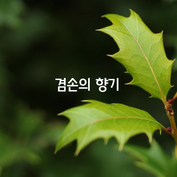 겸손의 향기