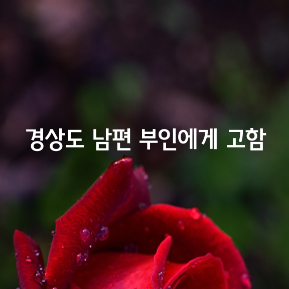 경상도 남편이 부인에게 고함