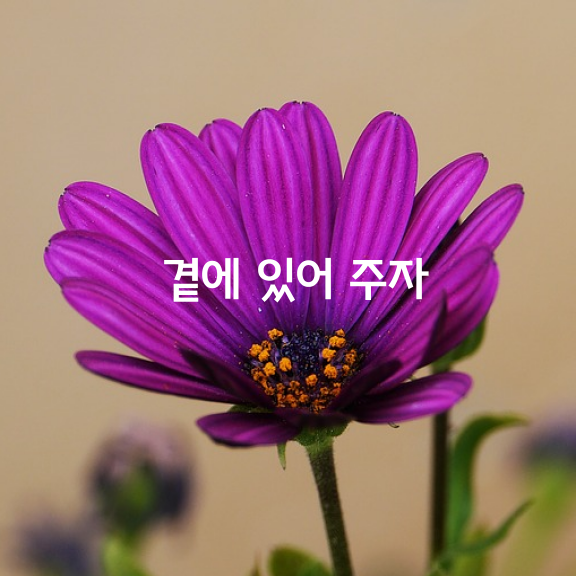 곁에 있어 주자