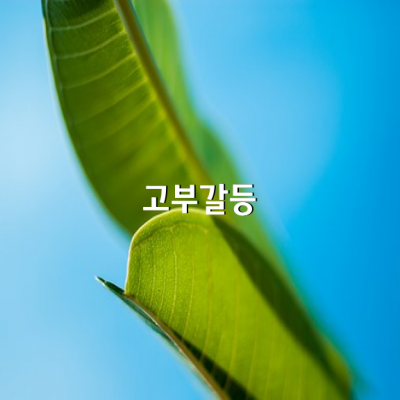 고부갈등