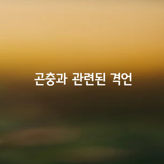 곤충과 관련된 격언