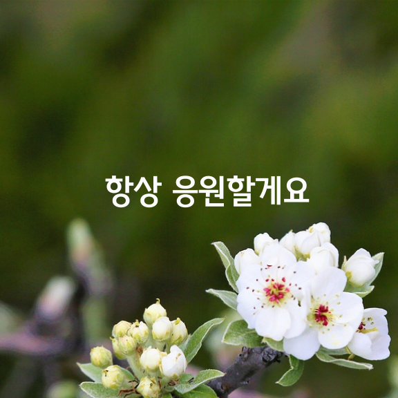 그대여, 정말 바쁜 하루였죠.