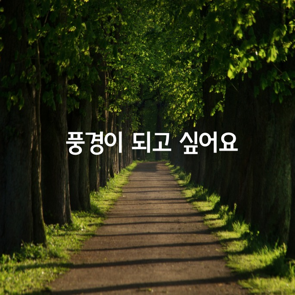 그대의 풍경이 되고 싶어요