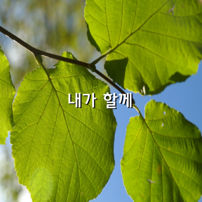 그따위로 정치 할거면 내가 할께