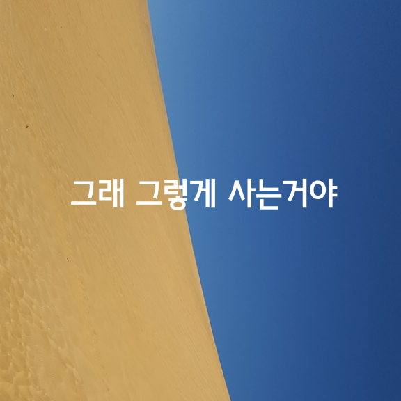 그래 그렇게 사는거야