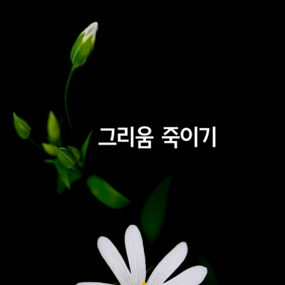 그리움 죽이기