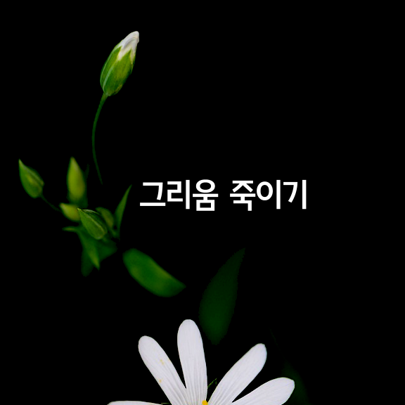 그리움 죽이기