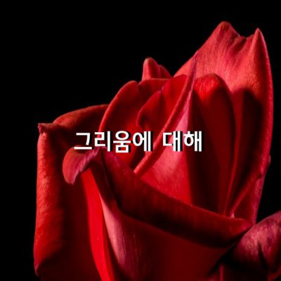 그리움에 대해 / 김기만