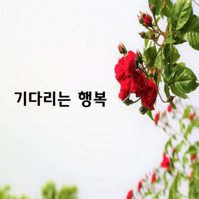 기다리는 행복 / 이해인