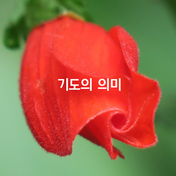 기도의 의미