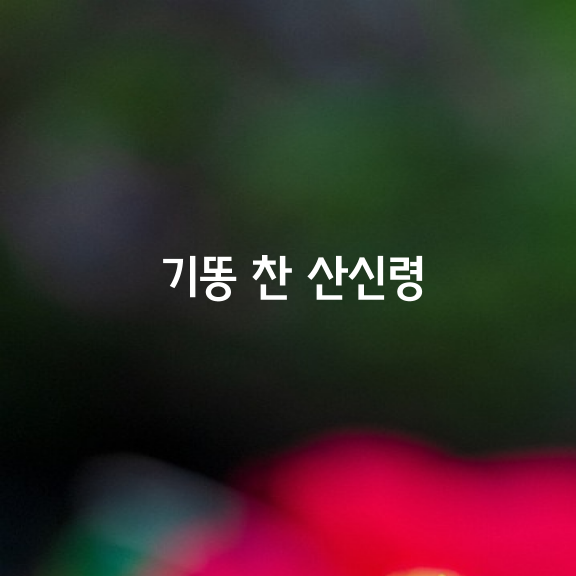 기똥 찬 산신령