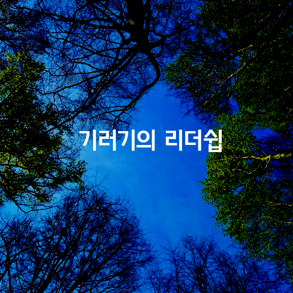 기러기의 리더쉽