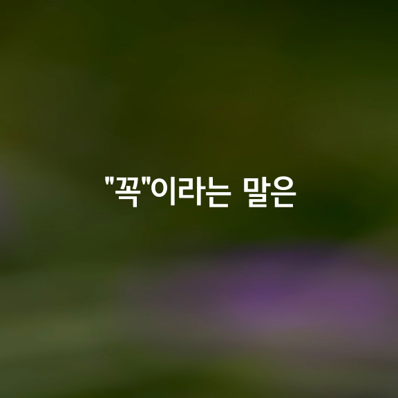 “꼭”이라는 말은