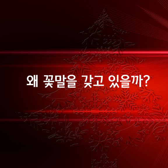 꽃들은 왜 꽃말을 갖고 있을까?