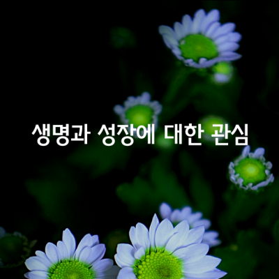 꽃을 사랑한다 말하면서도