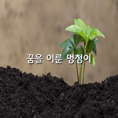 꿈을 이룬 멍청이 (찰스 슐츠 이야기)