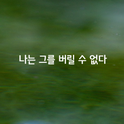 나는 그를 버릴 수 없다