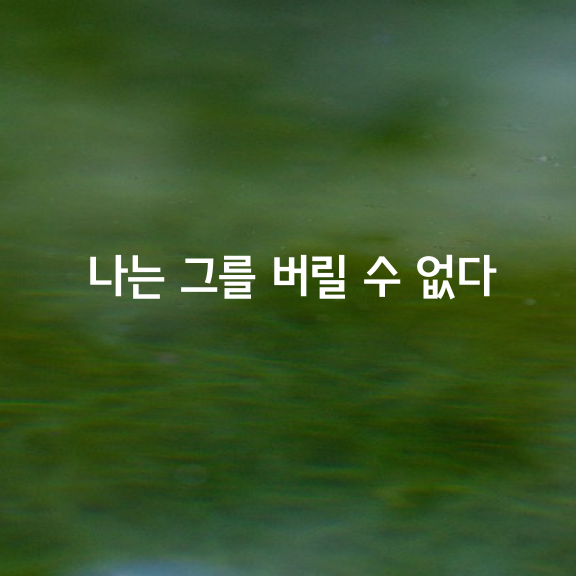 나는 그를 버릴 수 없다