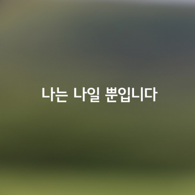 나는 나일 뿐입니다