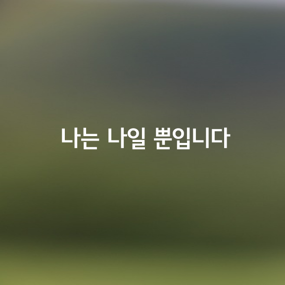 나는 나일 뿐입니다