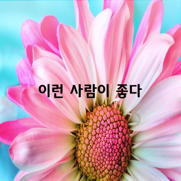 나는 이런 사람이 좋다 / 헨리 나우웬