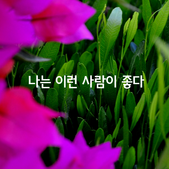 나는 이런 사람이 좋다