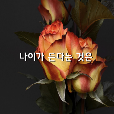 나이가 든다는 것은, 인생의 무게를 견뎌낸다는 것입니다.