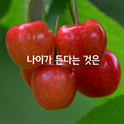 나이가 든다는 것은