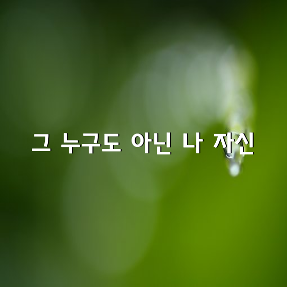 남의 상처는 별거 아니라고