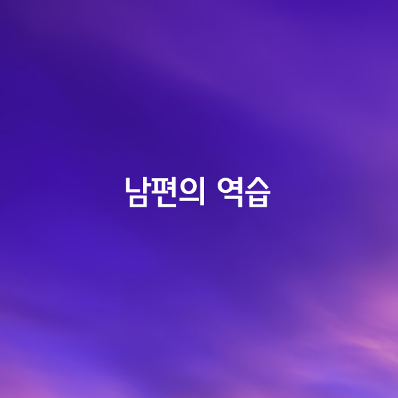 남편의 역습