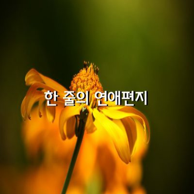 내 곁에서 나의 밤을 지키는